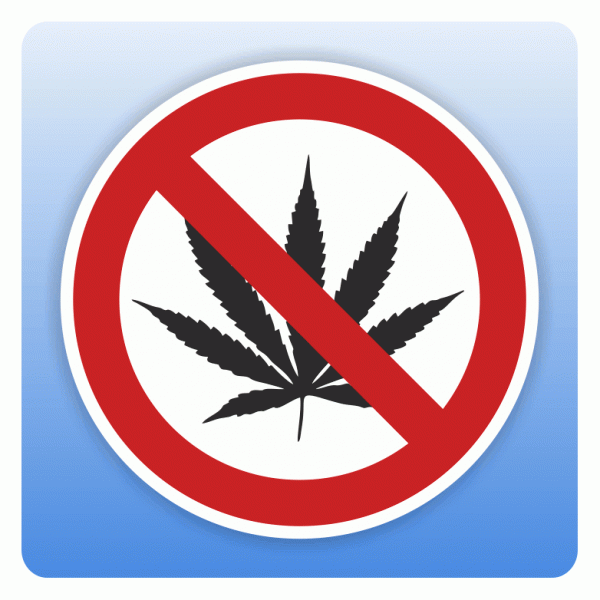 Verbotsschild Cannabis verboten